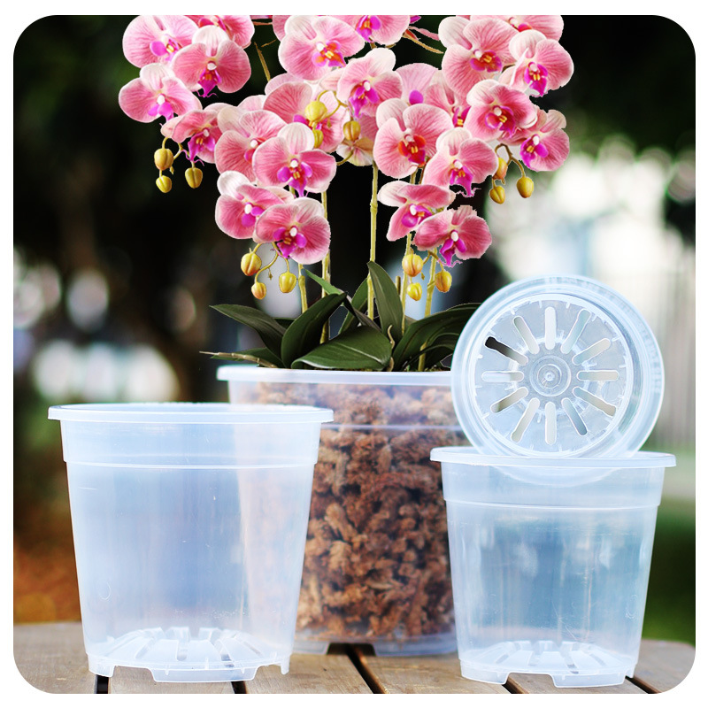(大连养兰人专属)高透明塑料花盆蝴蝶兰升杯通用盆会呼吸的花盆
