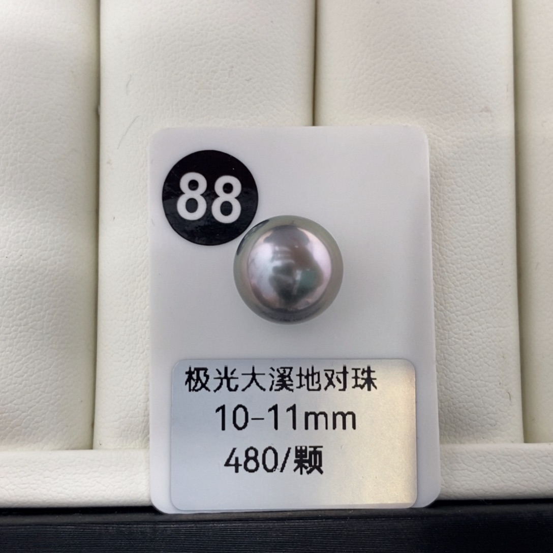 耳饰未镶嵌海水珍珠10-11mm 大溪地 灰紫色