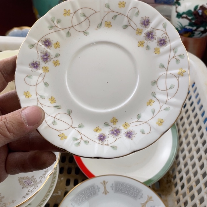 碟开播了开播了开播了