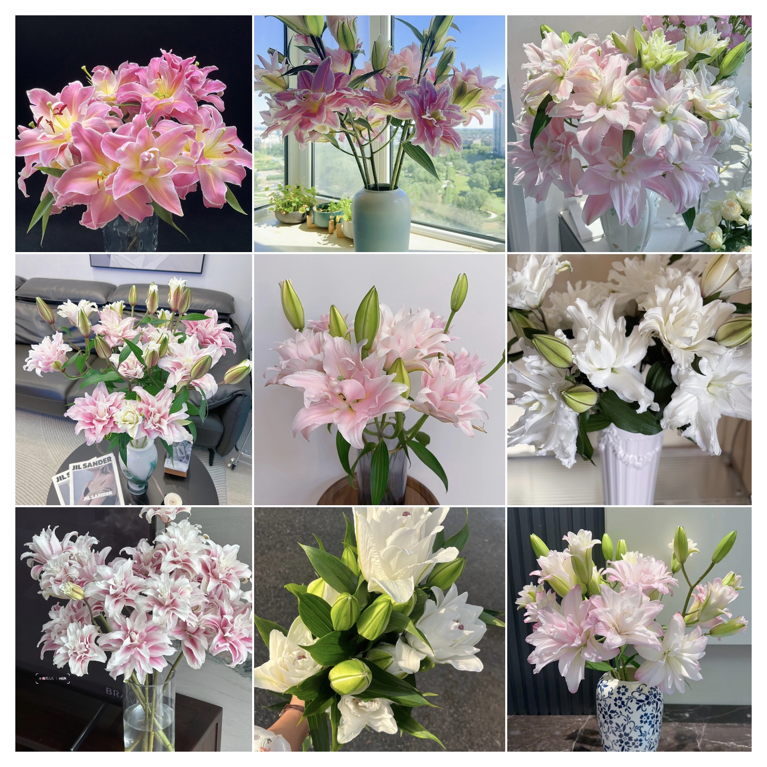 鲜花 10支1头重瓣百合  生鲜类不支持已发货退款 