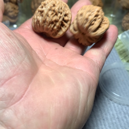 文玩核桃吊坠野生核