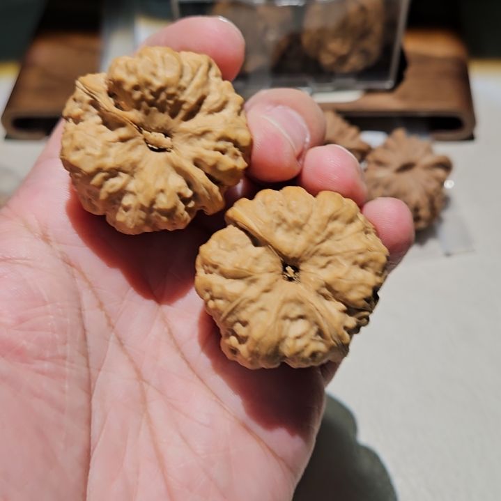 把件文玩核桃吃*惹福利蛤蟆01