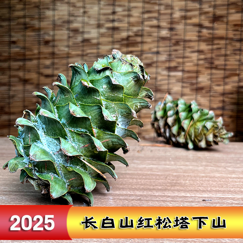 2025年长白山新鲜红松松塔饱满易剥可做摆件