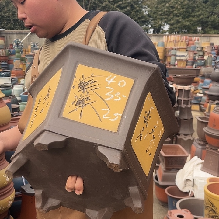 紫砂紫砂花盆盆栽