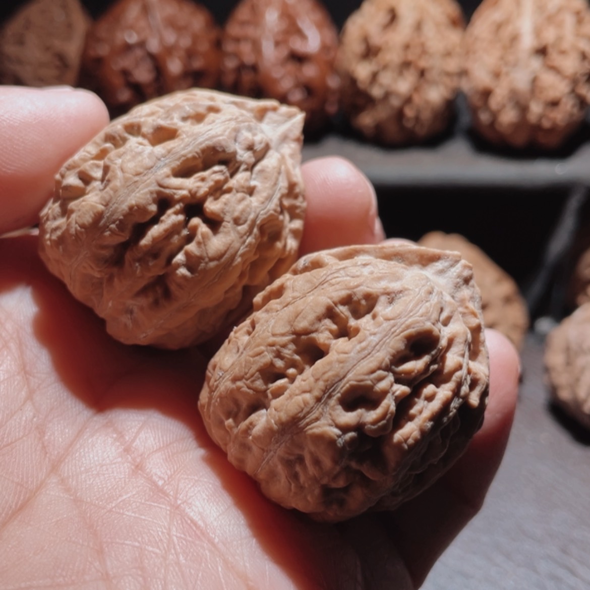 【闪购商品】文玩核桃把件东北楸子49