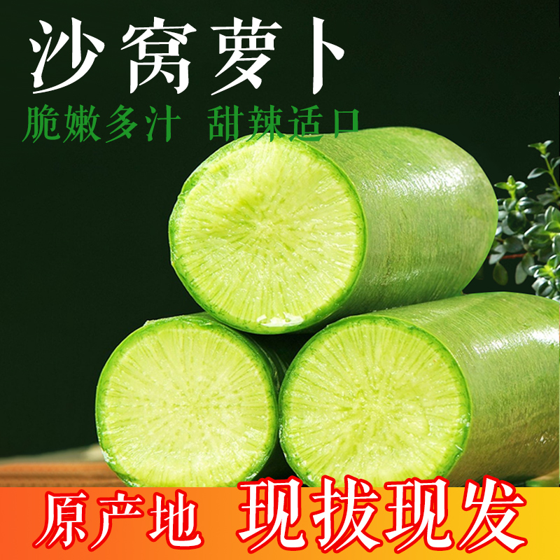 正宗天津水果萝卜（天星2号）新鲜现挖脆甜多汁可生吃的青萝卜