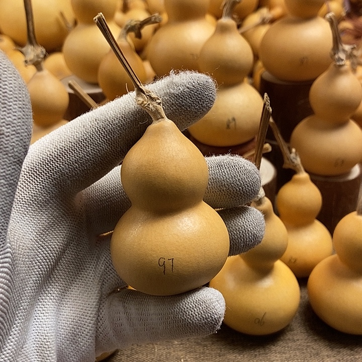 文玩葫芦 完美主义者 慎拍97