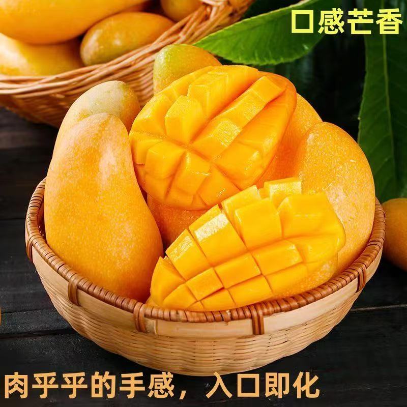 【催熟食用】正宗海南金煌芒青黄皮混发应季水果包邮坏果包赔
