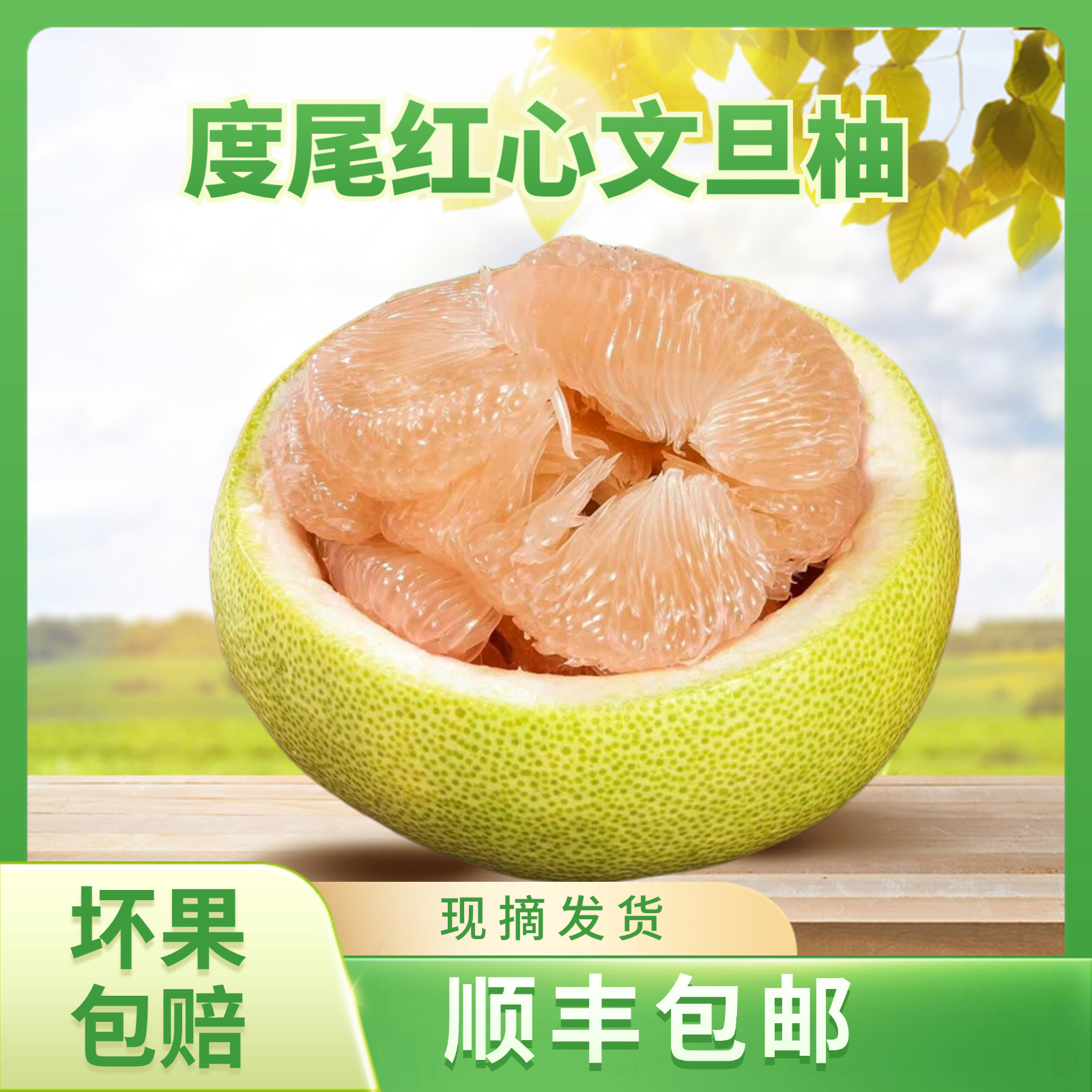 度尾文旦柚老树精选果新鲜当季孕妇时令水果香甜多汁