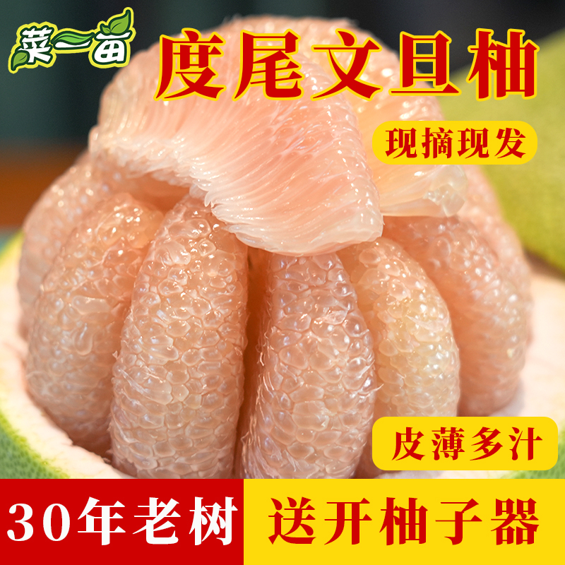 【菜一亩】福建仙游度尾老树红心文旦柚新鲜水果产地直发现摘礼盒装