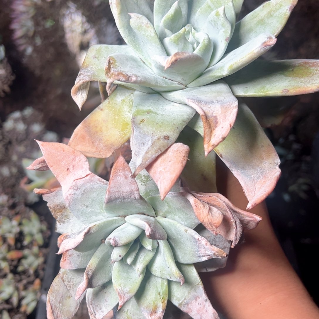 5693哈哈哈哈哈哈哈哈哈