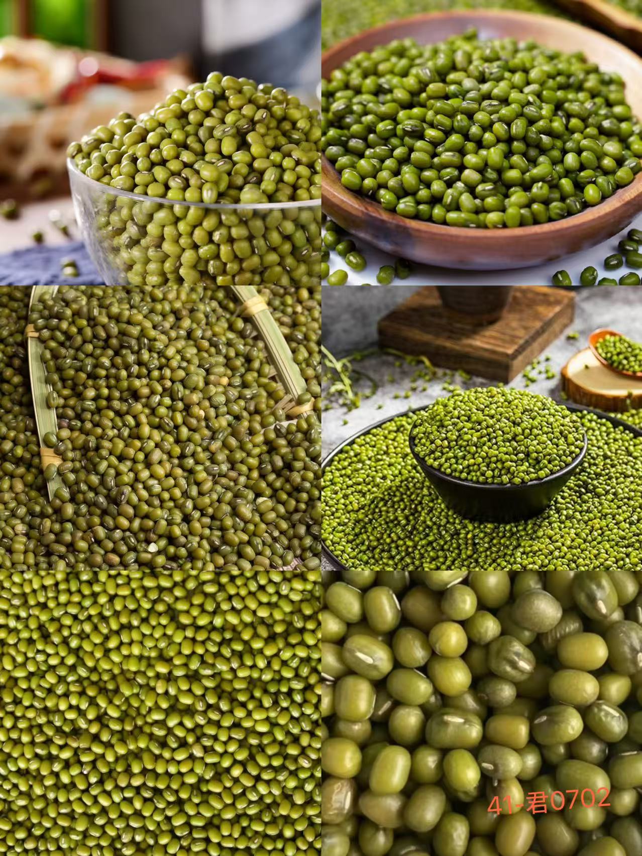 《41》龙腾专属土特产绿豆0.8x108-君0702-48g