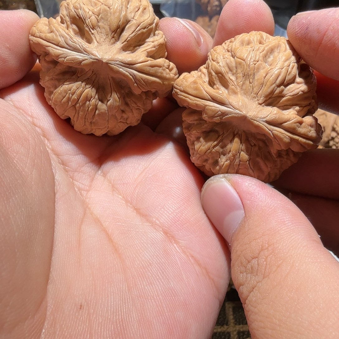 文玩核桃把件红锦鲤