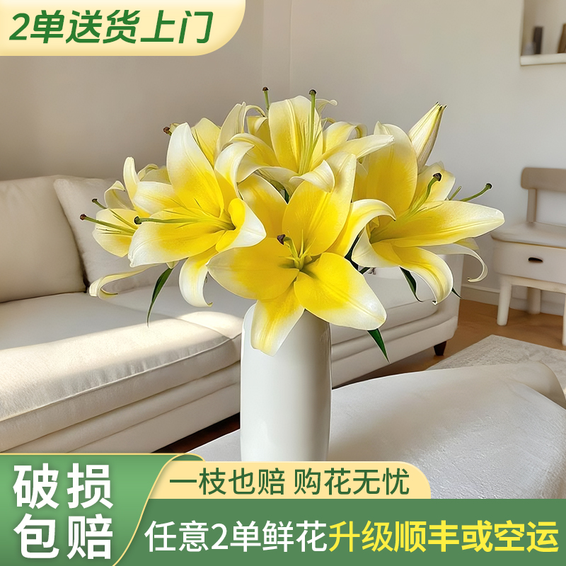 【源头优选老六】黄金甲百合/元旦预热 任意两单鲜花升级快递