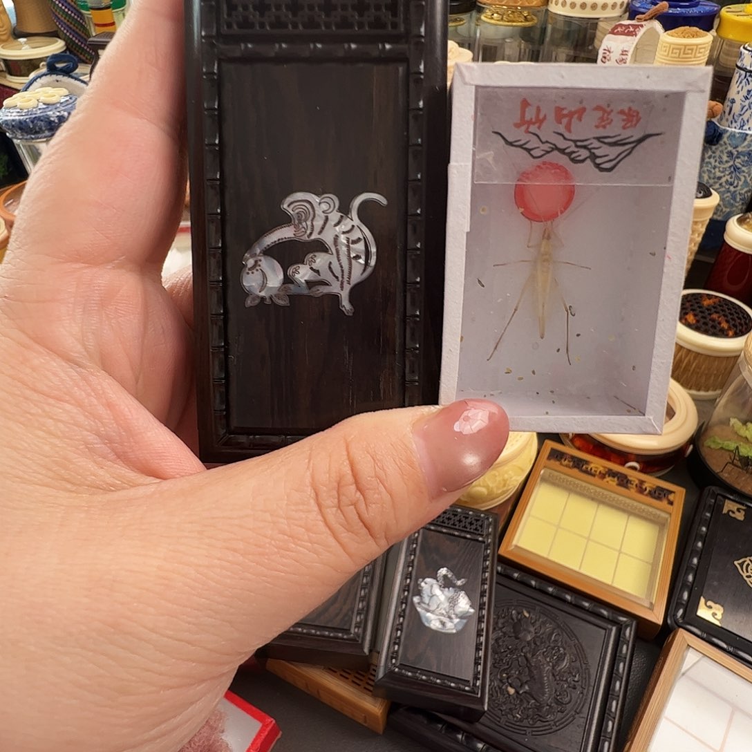 神***〉哈哈哈猴盒子➕保定山竹蛉