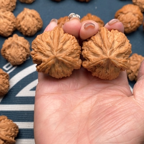 橄榄核手串/手链天****博文山三棱