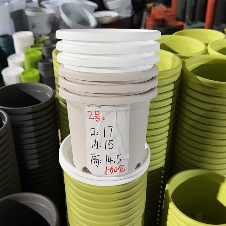 四季2#口径17果绿10个无托