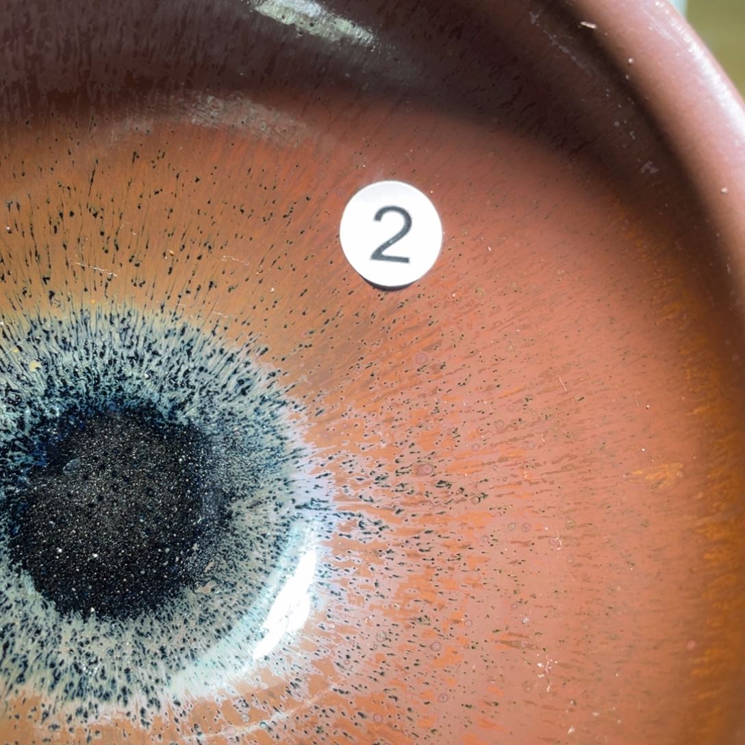 茶盏6666666666666666