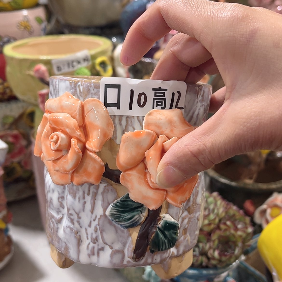 【闪购商品】红陶福利