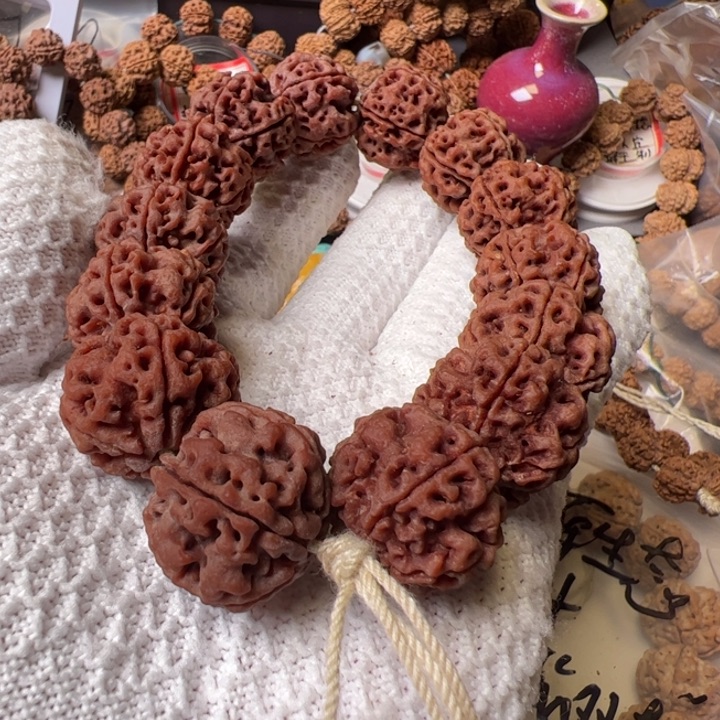 金刚菩提手串24➕蜂窝双龙