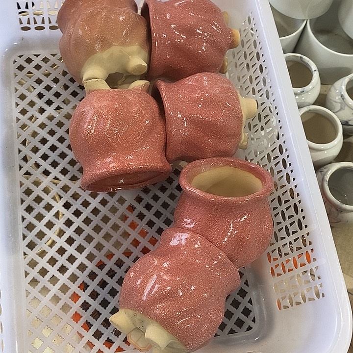 花盆抢购清货马上开始