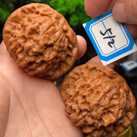 文玩核桃吊坠龙鼎53