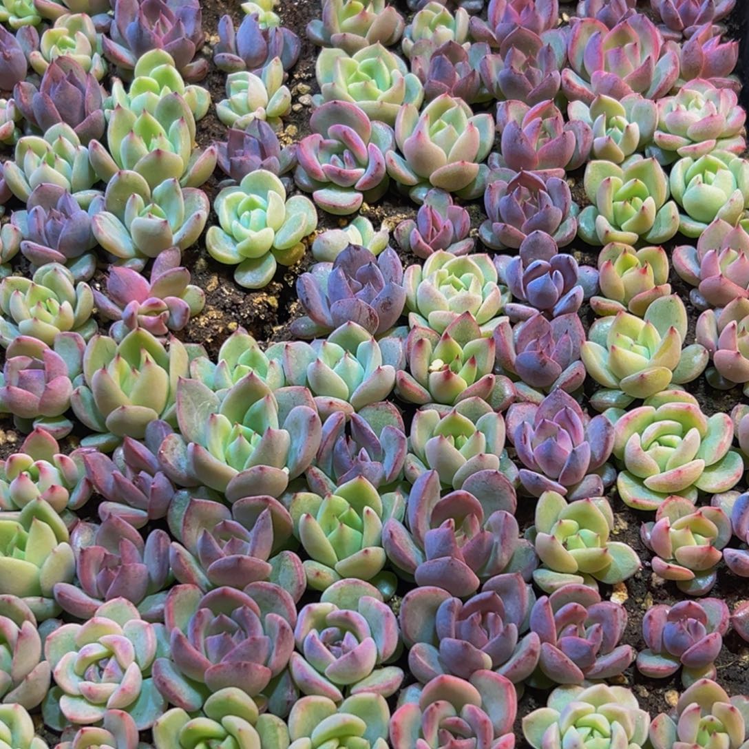 077点点滴滴的断断续续