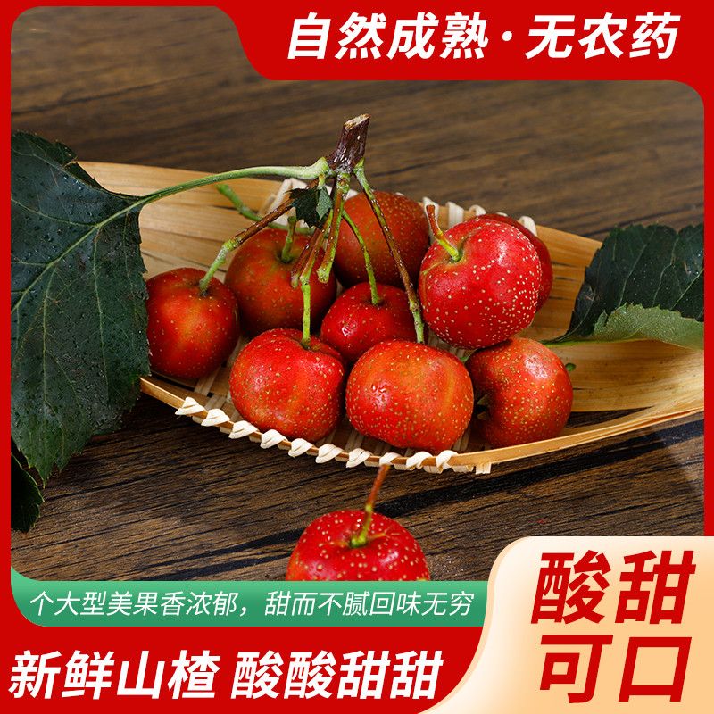 沂蒙山新鲜山楂酸甜可口产地果园直发时令水果