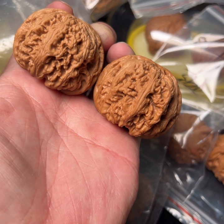 核桃粗筋，46球筋已打底
