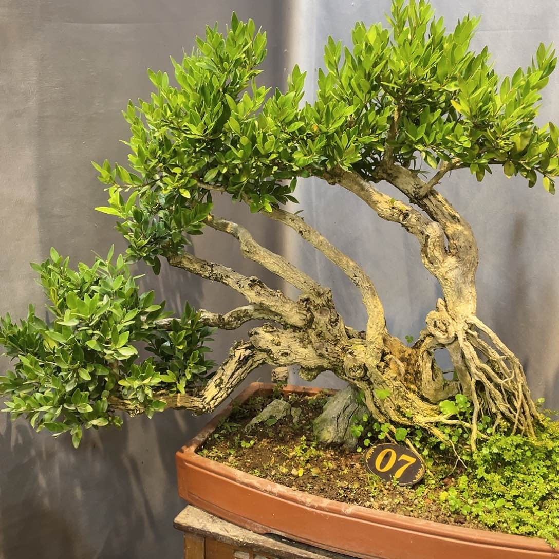 红陶拾*一起为梦想而加油的小孩