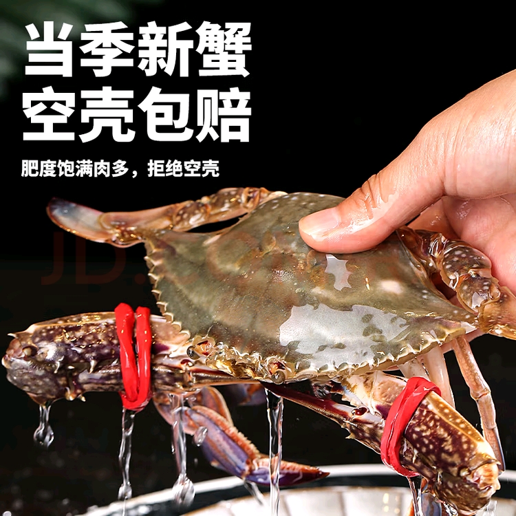 【保鲜不保活】鲜活发货大公梭子蟹单只5两左右四斤送一斤