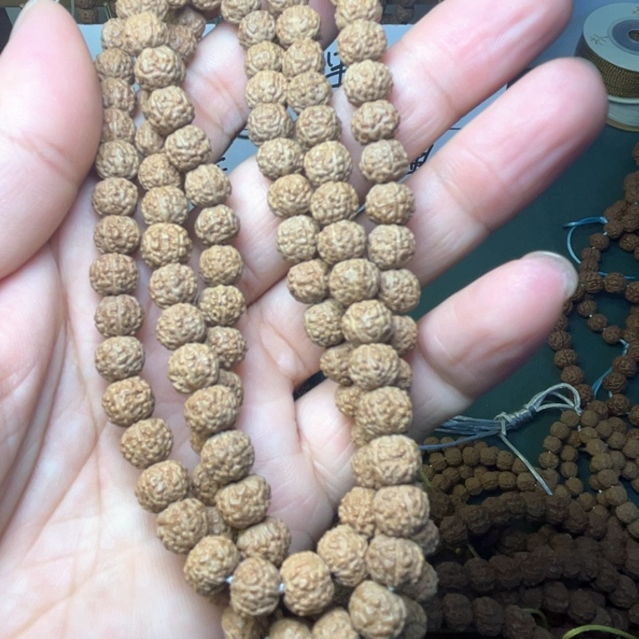 吃***饿手串金刚菩提50两条闷墩龙福利