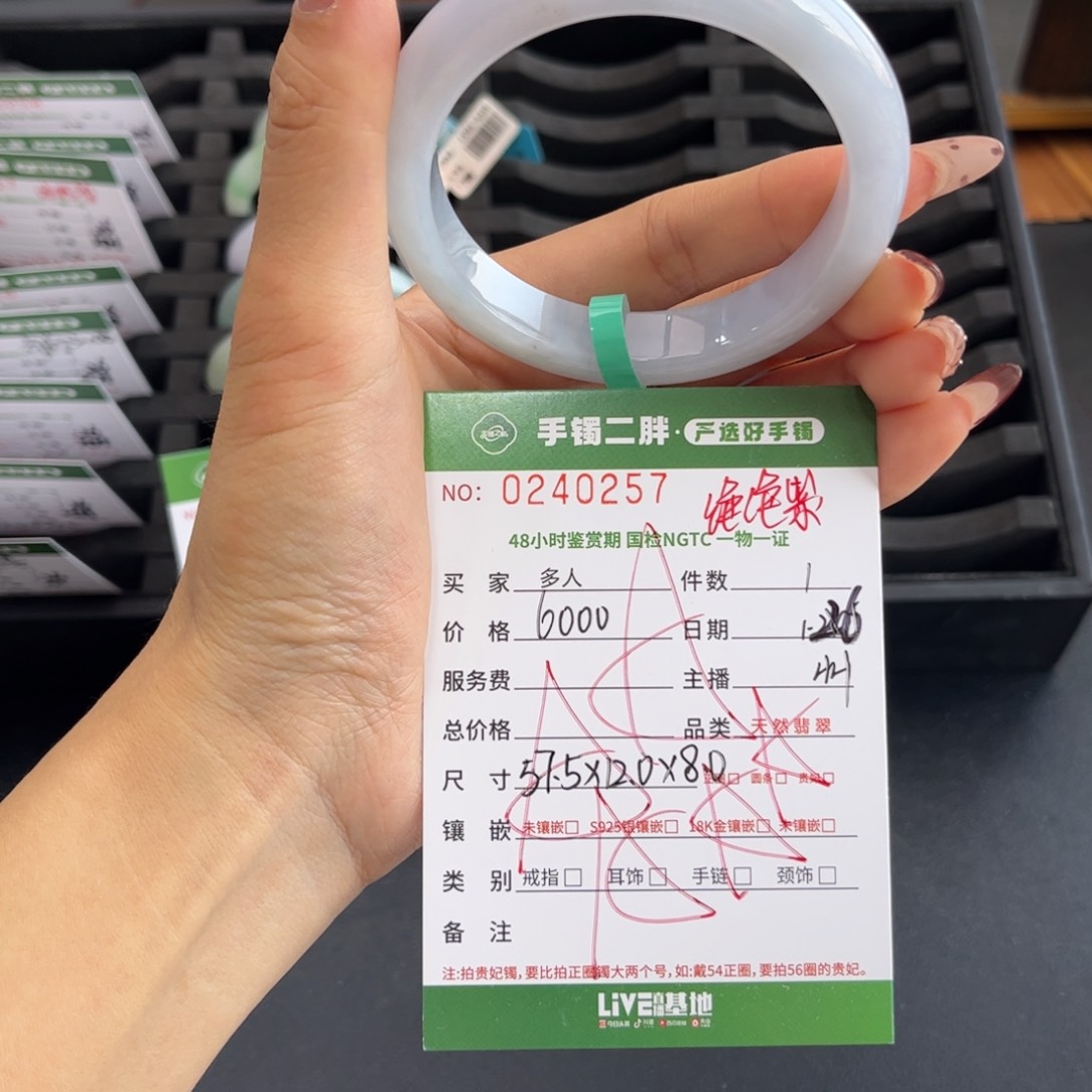 翡翠手镯未镶嵌手镯黑色