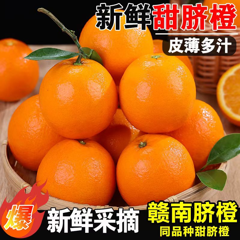 BB【正宗高山脐橙】赣南脐橙同品种皮薄肉厚果园直发新鲜多仓发货