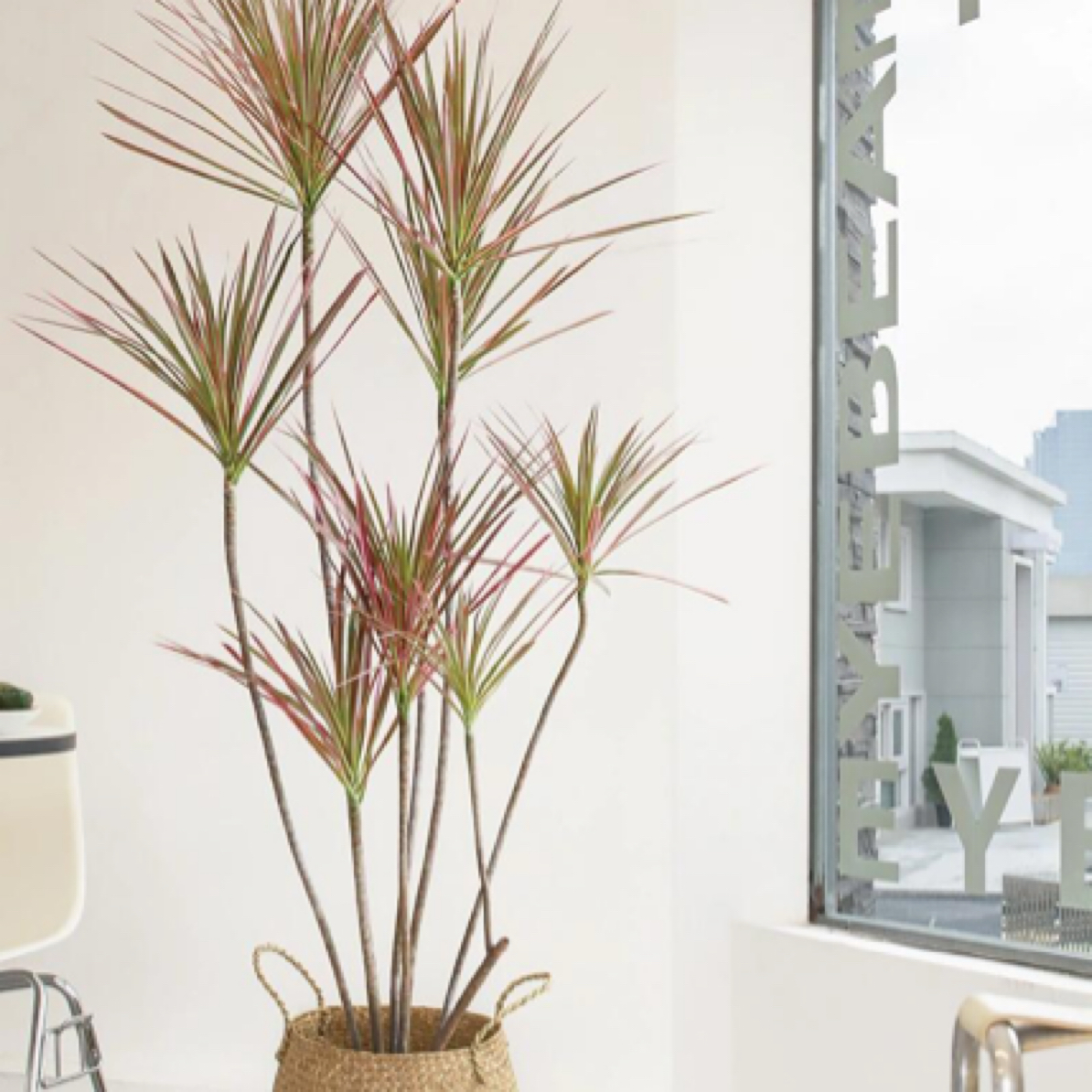 ｛七彩铁｝轻奢绿植，点亮生活空间（以直播间实物为准）