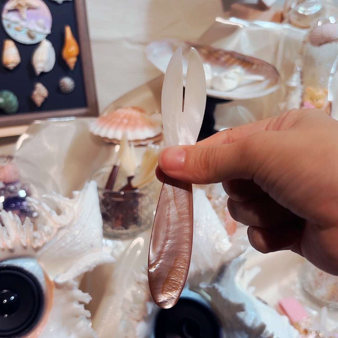 贝壳手串/手链喵