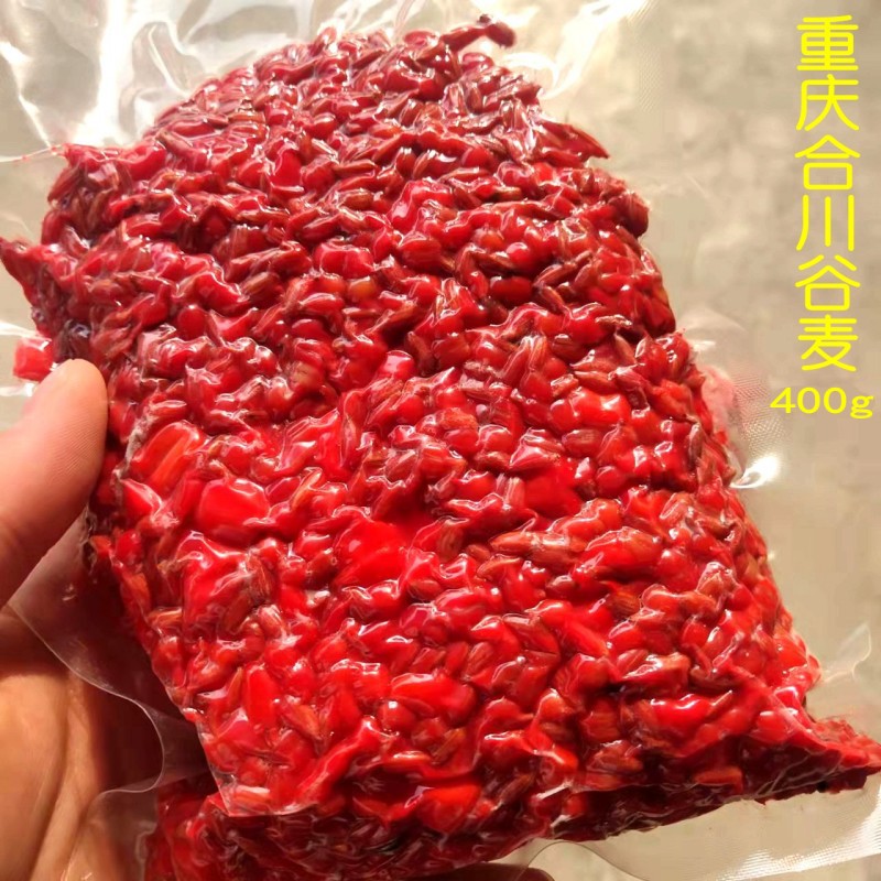 重庆甜薯杂粮窝料玉米麦粒鱼饵野钓鲤鱼饵料逗钓鱼打窝料