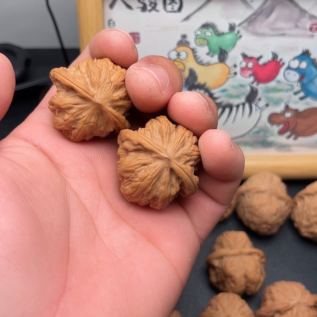 36.5野狼，，，，，，，，，，