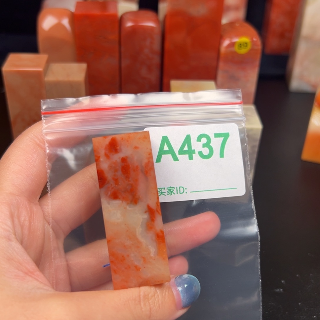 老挝石印石丽*鱼老挝石