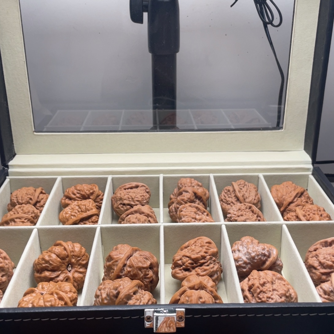 ****人把件文玩核桃随机核桃