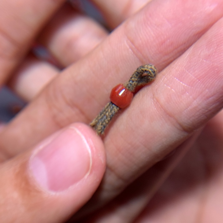 南红玛瑙线束未镶嵌口****_