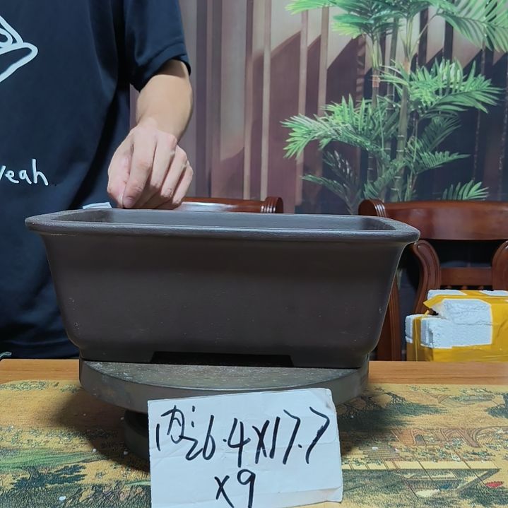 来来来啦咯啦咯啦咯