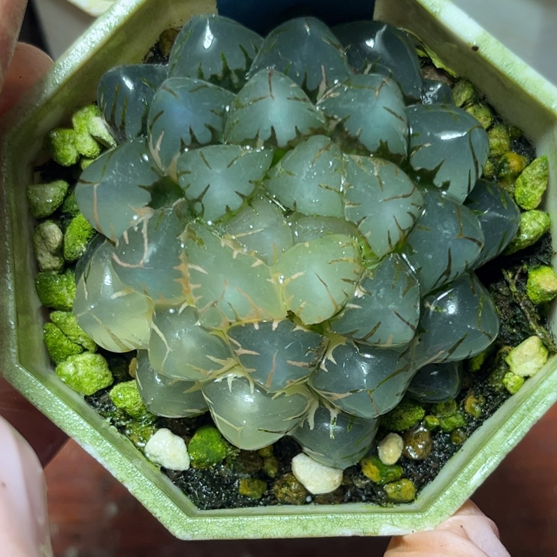 恭喜发财大吉大利749