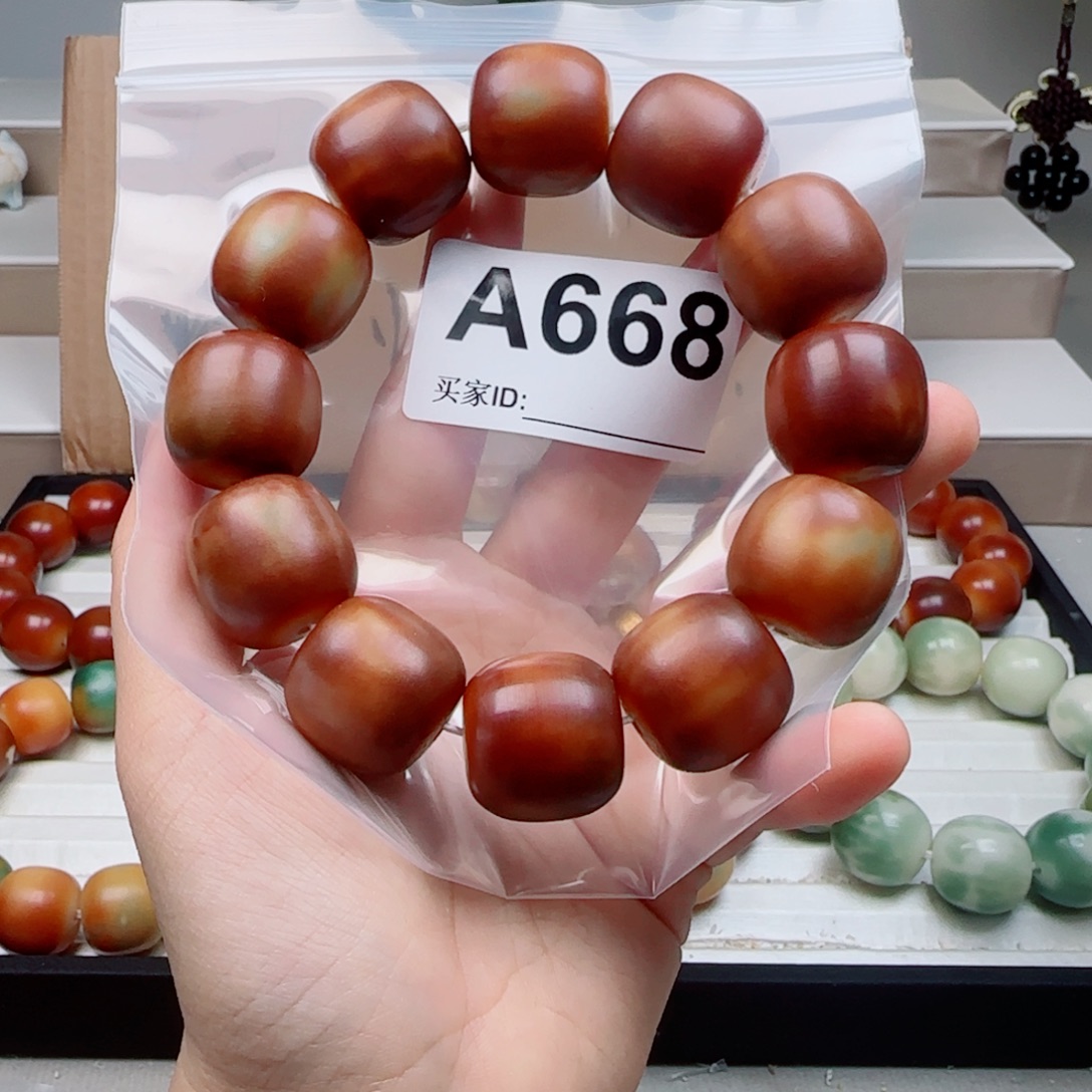 吊坠菩提根/象牙果菩提2.3