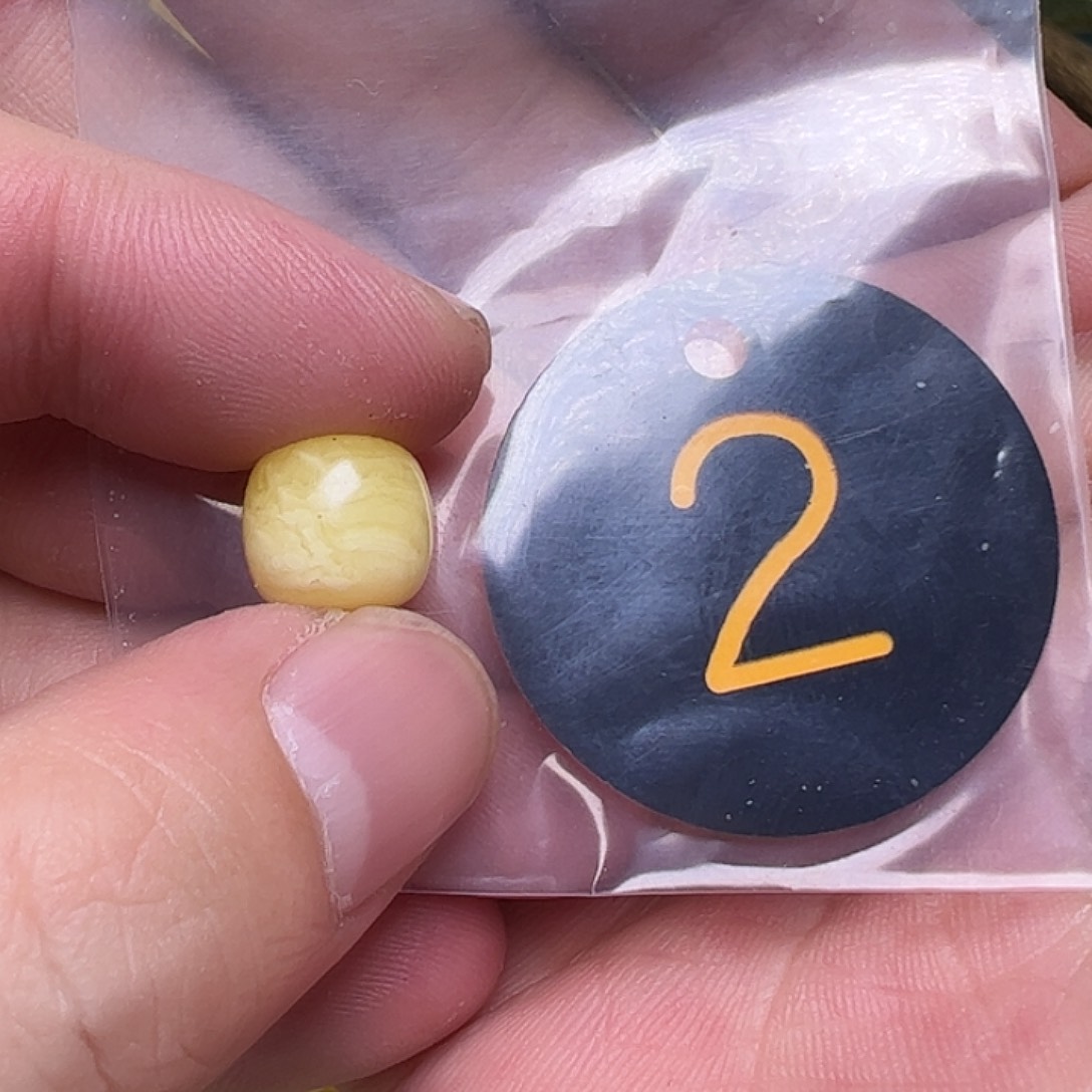 蜜蜡未镶嵌珠宝奇石y*11.3mm微花粉