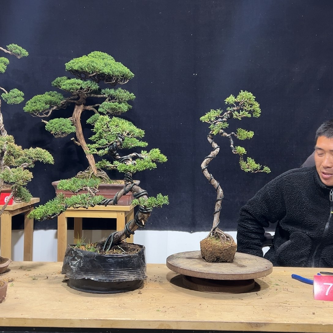 完全开放济州11111