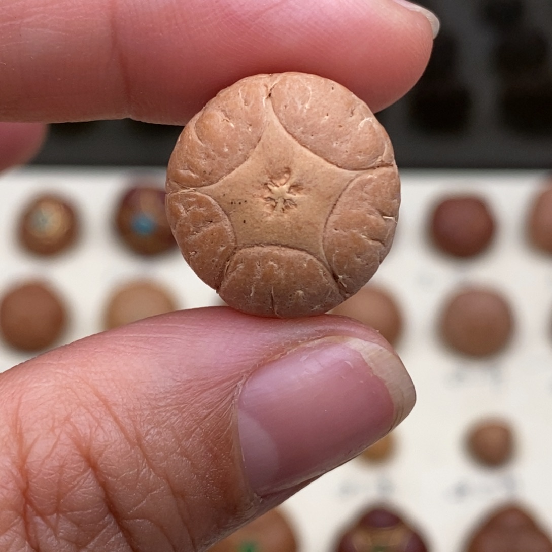 凤眼菩提吊坠五星