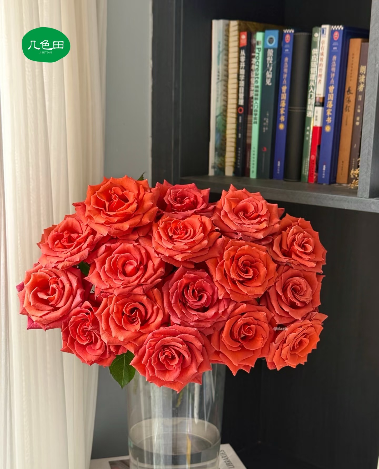 杏仁酒----单头玫瑰云南直发鲜花