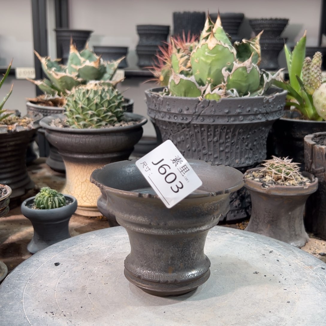 景德镇手工素里内口12高9.5