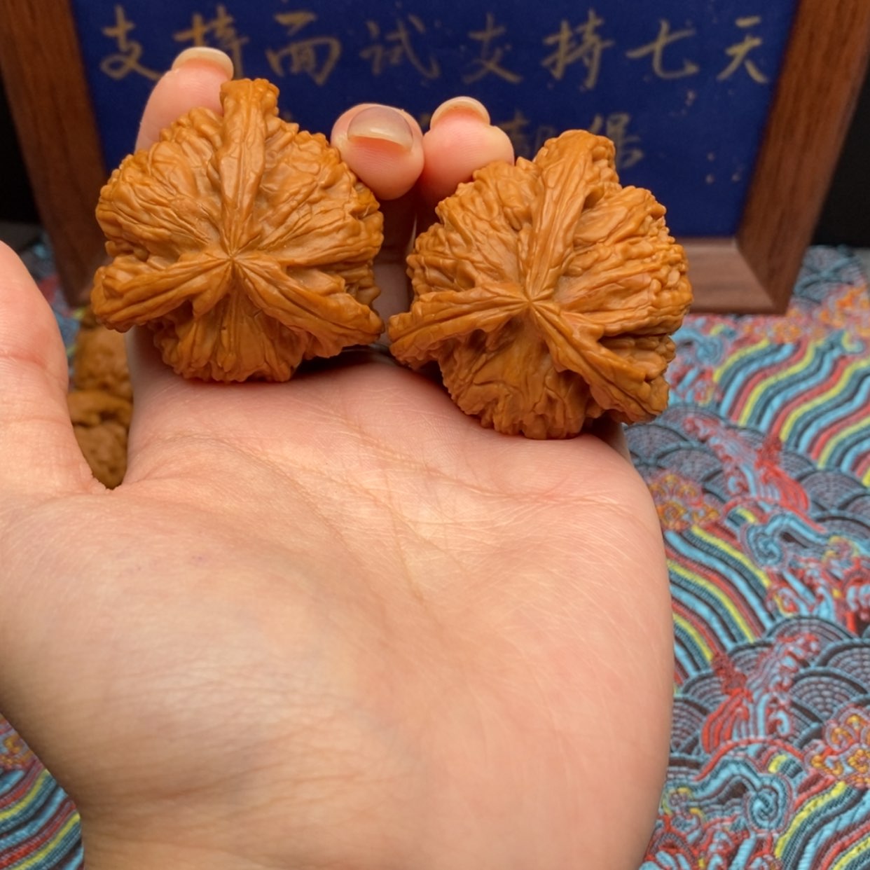 【闪购商品】南*白狮